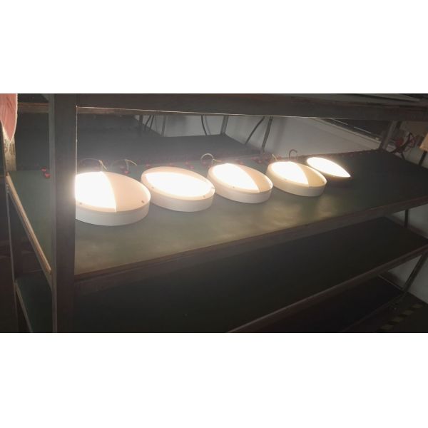 Grey / White / Black Corner Bulkhead Light Kitchen LED Ceiling Lights 47 - 63Hz