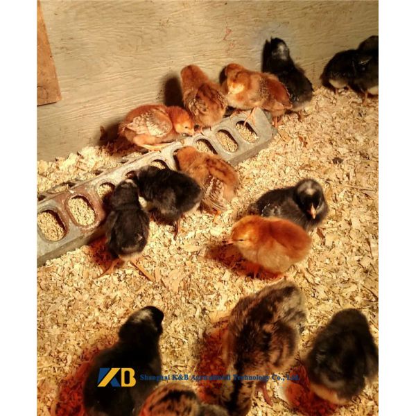 CAS 94350-05-7 Brown Rice Powder Protein Hydrolyzates Rice Bran Feeding Addictive