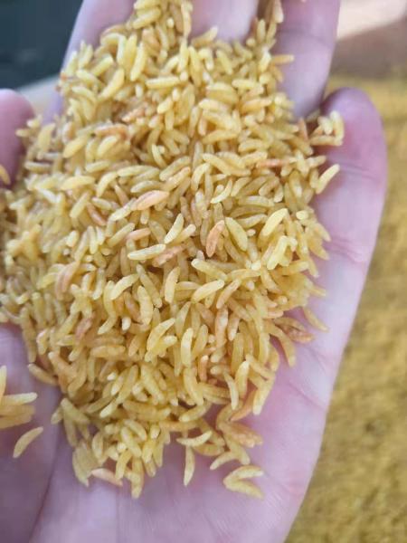 201 304 SS Artificial Rice Making Fortified Rice Machinery Plant 150kg/H