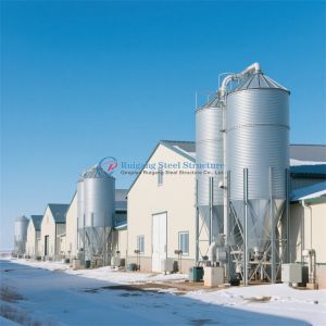 Steel Metal Frame Prefabricated Steel Structure Chicken Farm Poultry House