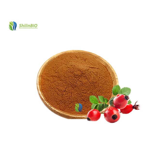 Fournisseur de fabricant Extrait de fruit d'églantier Vitamine C Extrait d'églantier VC10%-25% Poudre d'extrait d'églantier
