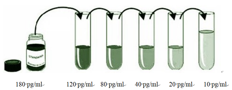 Mouse Estradiol Elisa Kit Rat E2 RUO Test Kit 48 Wells And 96 Wells