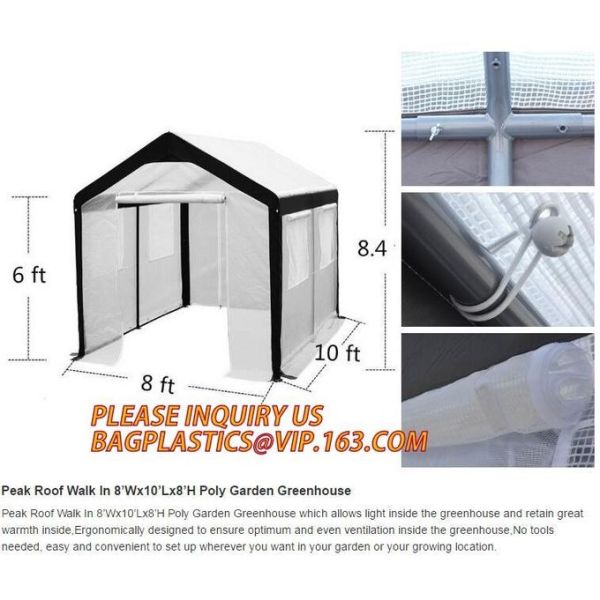 Greenhouse, Agricultural Polyethylene Film, Mulch Films, Horticultural Products, Perforated Wrap, Tomato, Flowers