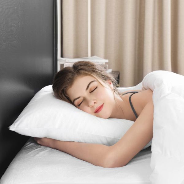 60 Fabric Count Memory Foam Goose Feather Down Pillow Queen Size 20x28 for Sleeping