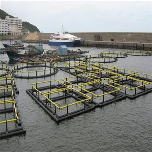 PE Bracket Square Floating Fish Cage Excellent Flexibility Hygienic Safety