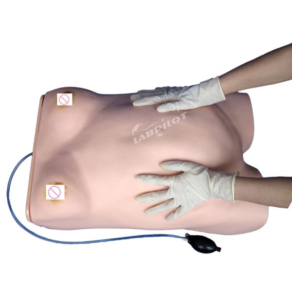 Advanced PVC Maternity Nursing Care Manikin Essential for Maternity Palpation Training