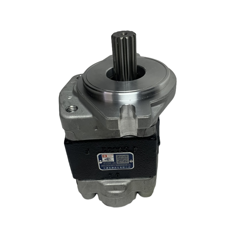 Steel Material Gear Pump with Long Working Life for CPC(D)20-35 Forklift Hydraulic System