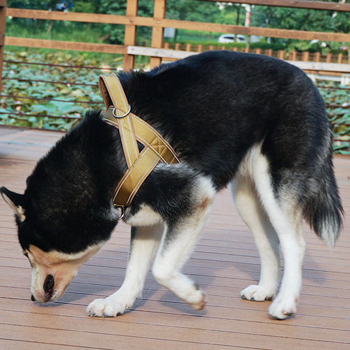 Oem Odm Custom Dog Accessories Leash And Harness Collar Tactical Designer Custom Safety Pet Dog Harness Set Dog Pet Harness