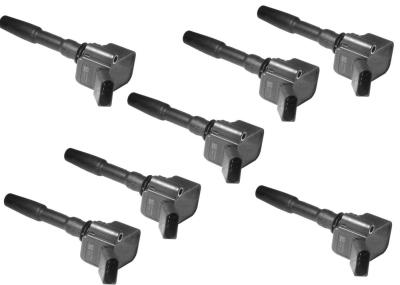 030905110B/A/C/D VW Ignition Coil With ISO9001 And TS16949 Certification