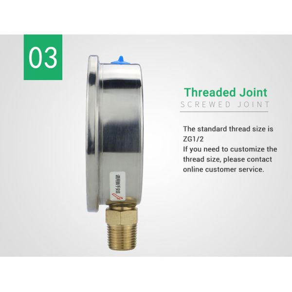 100mm NPT1/2 Brass Connection Pressure Gauge with Stainless Steel Housing OEM Support
