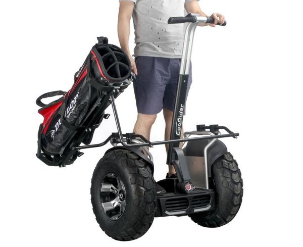 21 Inch Two Wheel Selfbalance Scooter Board With Rechargable Lithium Battery