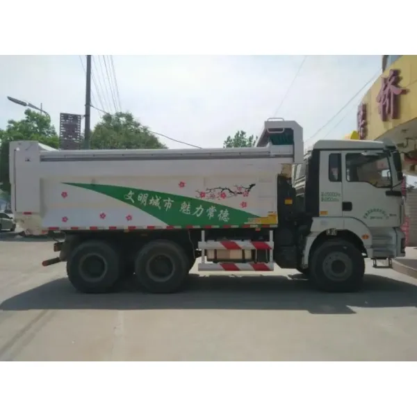 Shacman H3000 Dump Truck 6x4 340HP Tipper Trailer Truck Customized Color