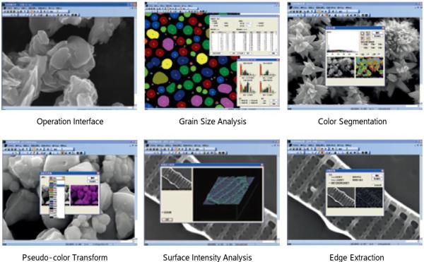 8X-300,000X Scanning Electron Microscope 3-6nm Resolution EBSD EBSD