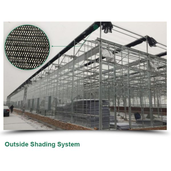 Сельскохозяйственная теплица для выращивания овощей, фруктов и цветов в любое время года