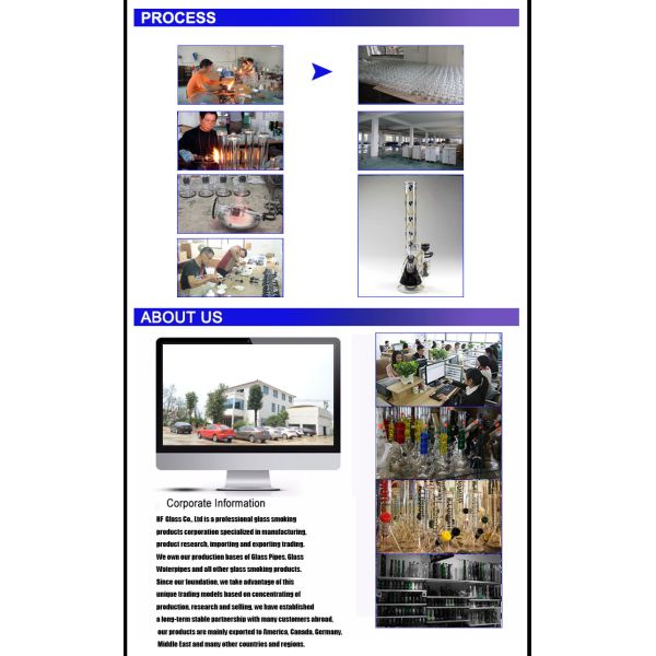 Dab Oil Rig Turbine Perc With Honeycomb Perc Smoking Water Pipes Heady Glass Bowl and Quartz Banger