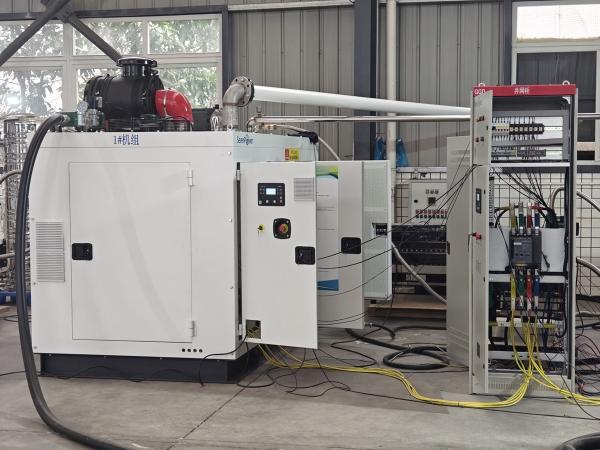 Premium CE Approved 2 Pcs 150kw 160kw In Parallel Silent Natural Gas BHKW CHP 300kw 320kw 400KVA