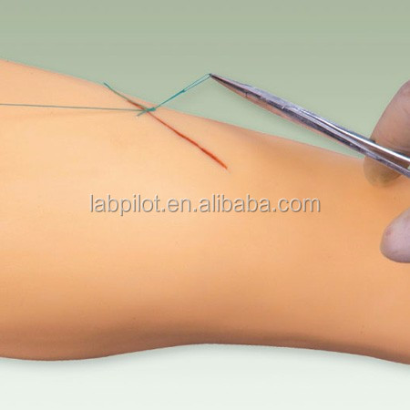 Medical Surgery Training Model Vivid Leg Model for Surgical Instrument Demonstration