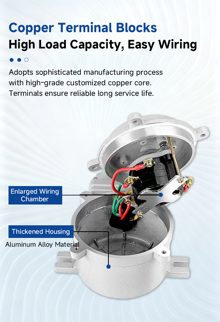 High Current 25A Aluminum Alloy Explosion Proof Rotary Changeover Switch Multiple Contact Configurations IP66 Ex Control Switch
