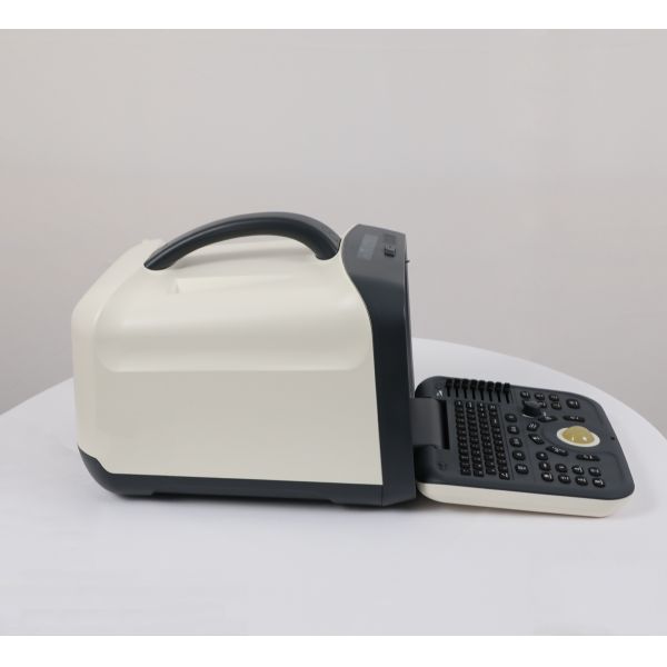 2021 Top Selling Medical Ultrasound Instruments, Portable B&w Ultrasound Scan Machine for Hospital