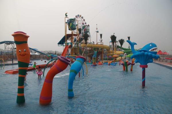 Equipamento personalizado do parque do Aqua do parque do pulverizador da caixa da carpa para o divertimento das crianças/crianças