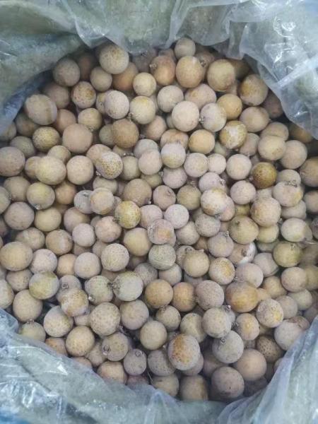Get the Frozen Fruit for Your Business Affordable and Delicious Longon
