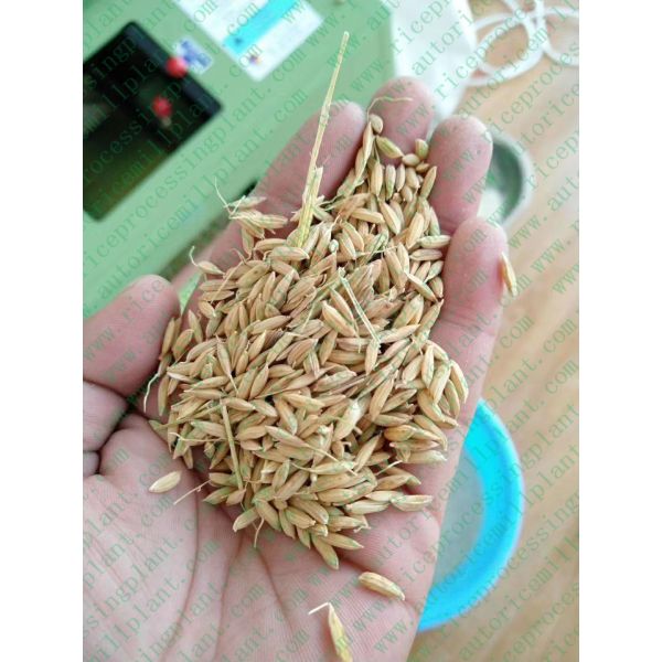 Машина обработки риса 5 тонн в мельницу риса дня небольшую проваренную слегка для дома