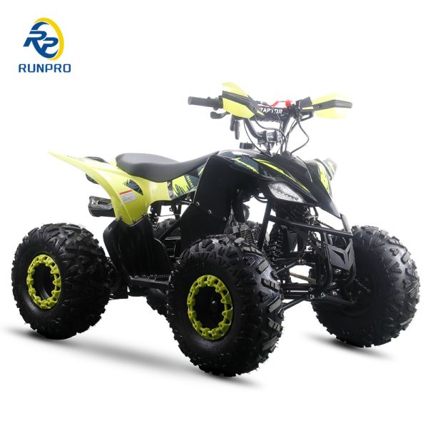 Powerful 125cc Gas Fuel ATV Quads with 2WD Driving Type and Interesting Features