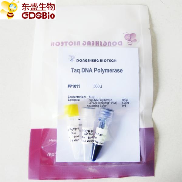 Taq DNA Polymerase P1011 500U PCR Master Mix Blue Buffer