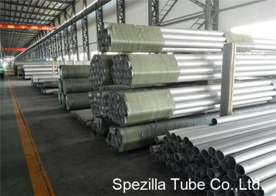 Stainless Steel Seamless Tube ASTM A312 TP304 NPS 10 inch Used for Gas