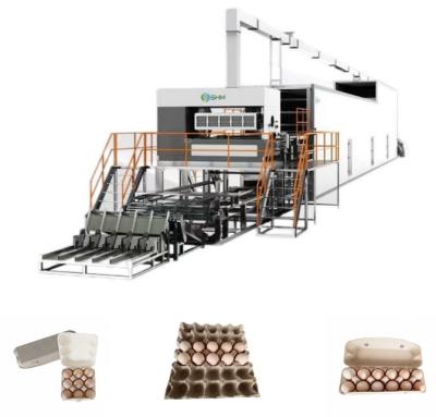 Máquina de moldagem de bandejas de ovos totalmente automática com papel reciclado