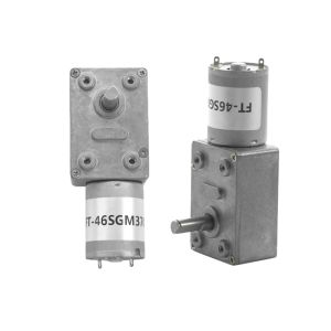 Customization FT-46SGM370 Slow Speed Big Torque Worm Gear Motor  6v 12v 24v Brush DC Motor