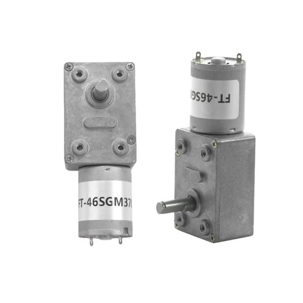 Customization FT-46SGM370 Slow Speed Big Torque Worm Gear Motor  6v 12v 24v Brush DC Motor