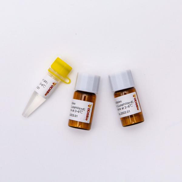 Lyophilized One Step RT PCR Master Mix DSPath 4X