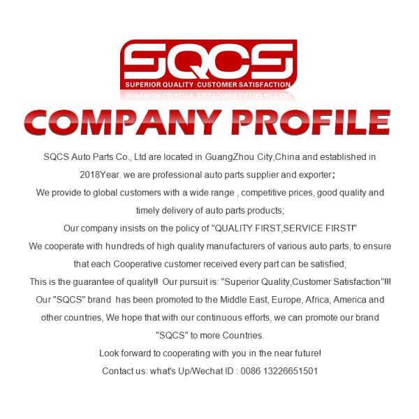 SQCS Заднего заднего фонаря для Tesla Model 3 1077398 107739800F 1077398-00-F Гарантия