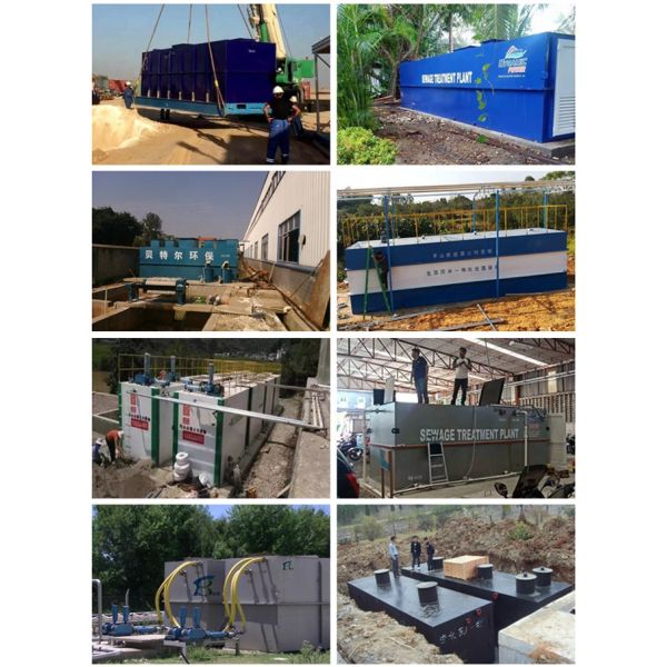 Производительность 3000 л/час Аквакультура Очистка сточных вод MBR Дизайн интегрированного оборудования