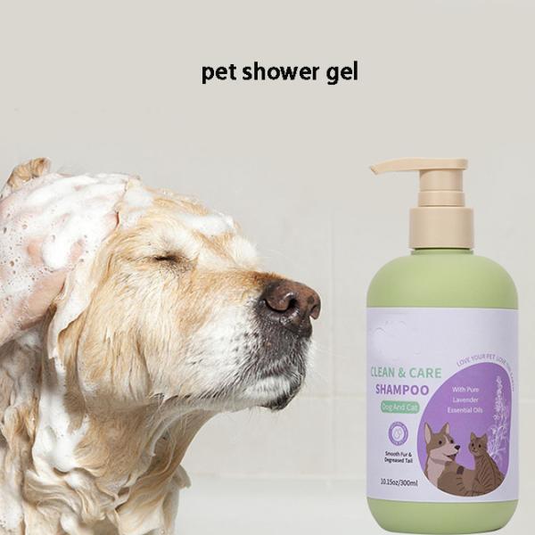 Shampooing pour animaux de compagnie sans lavage mousse gel de douche pour chien / gel de douche pour chat
