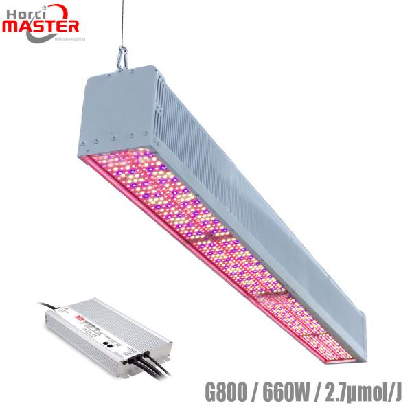 UV LED Supplemental Grow Lights Lm301b 60Hz For Medical Herbs