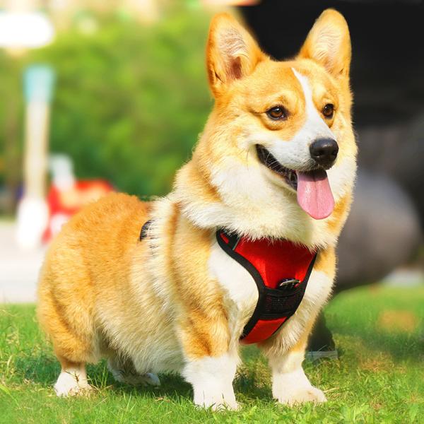 Explosion Proof Nylon Dog Harness Reflective Dog Vest Harness Medium Large