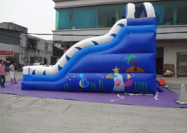 0.55mm PVC Blue Adults And Kids Playground Commercia Giant Inflatable Water Slide For Party