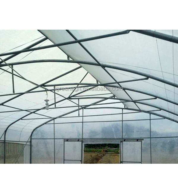 IGreen Plastic Tropical Green House Tropical Complete Green House