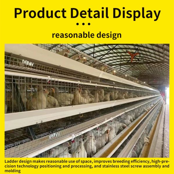 Poultry Farm 4 Tiers 128 Birds Animal Battery Layer Chicken Cages
