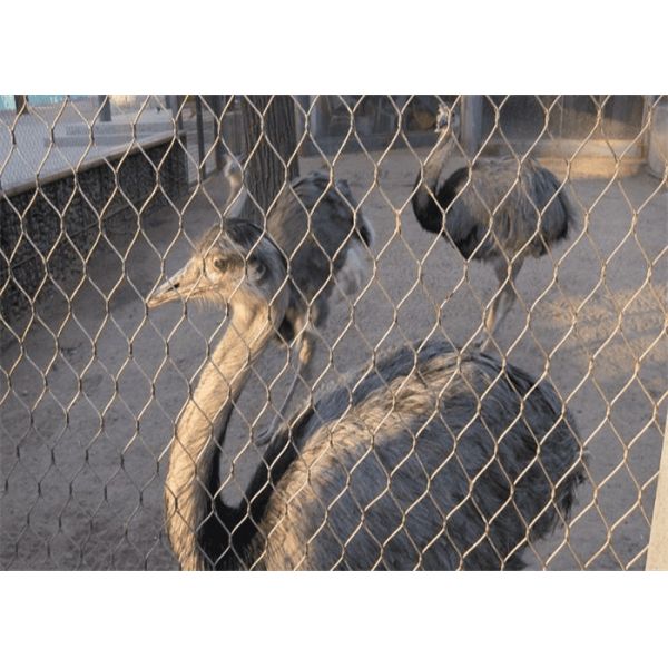 Wall Stainless Steel Trellis Mesh Garden Mesh Green Plant Climbing