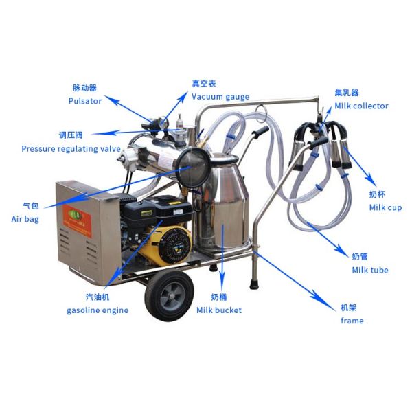 машина одиночной тележки с грейфером 50KPa доя с бензиновым двигателем