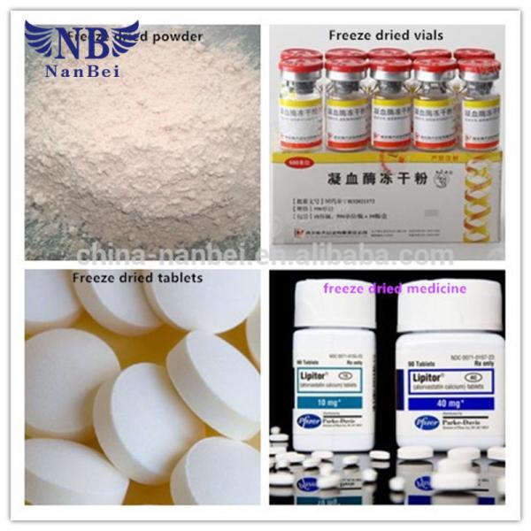 Press Mini Freeze Dryer 920 PCS Vial Capacity12mm Diameter 220V 50 Hz