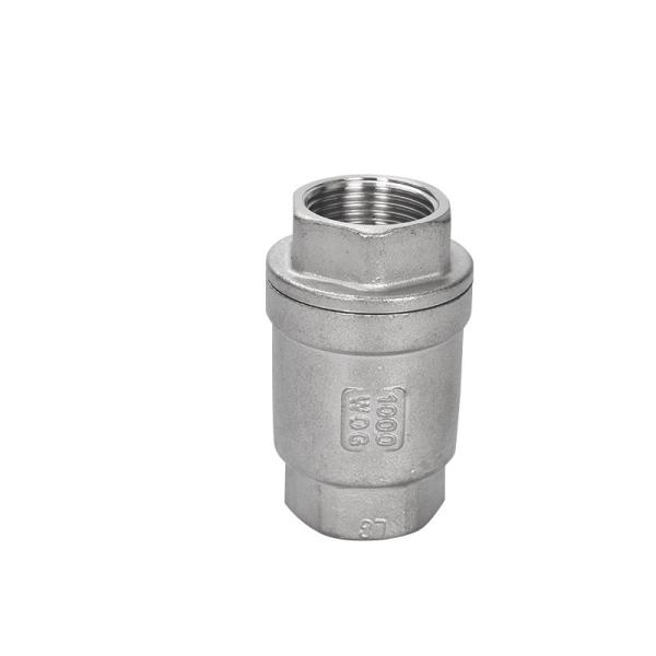 Oed suporte personalizado válvula de verificação vertical de aço inoxidável 304/316 com fio NPT