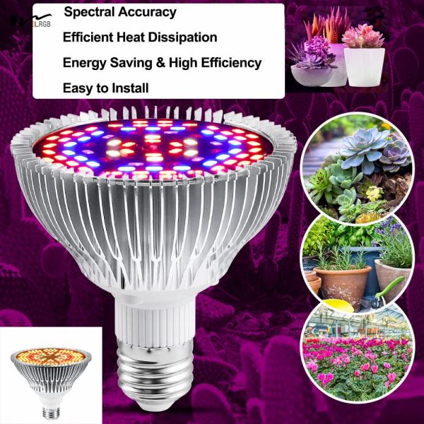 Plantes d'intérieur, légumes, fleurs, jardin, serre, succulente, lampe à LED à 50 W, à spectre complet avec UV et IR