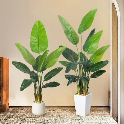 Artificial Bird of Paradise Plant 6.8FT - Luxury Faux Palm Tree in White Planter for Indoor Office Decor