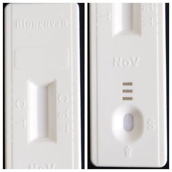 Rapid Test For Detection Of Norovirus Antigen With 20kits Colloidal Gold Method with CE