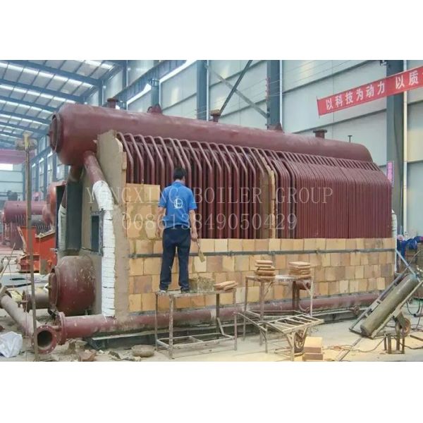 Chaudière à vapeur mise le feu par cosse mise le feu par biomasse de riz de chaudière à vapeur de l'industrie alimentaire