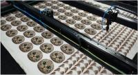 Cortadora automática de encargo del paño, cortadora impresa del laser del juguete